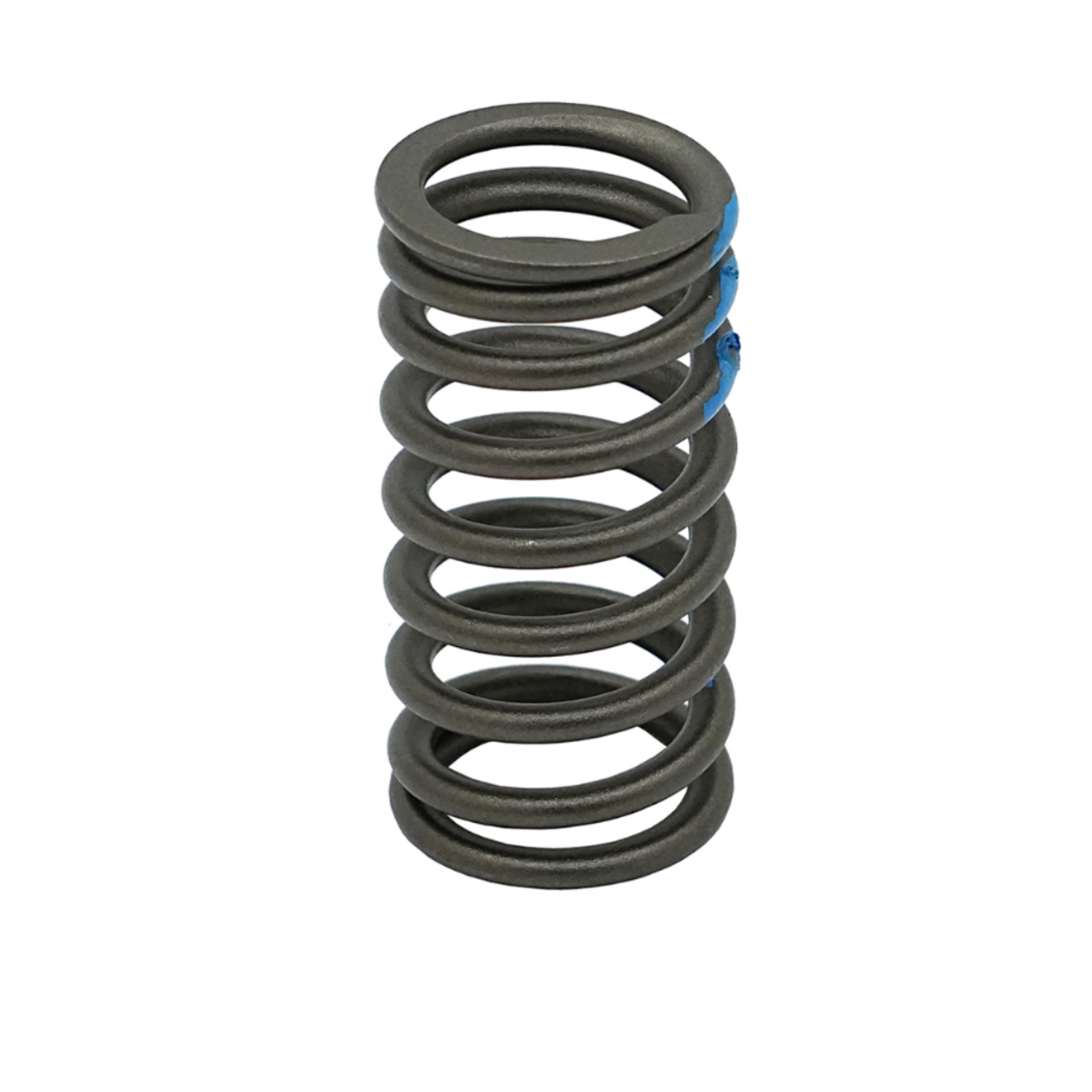 Spring Valve 